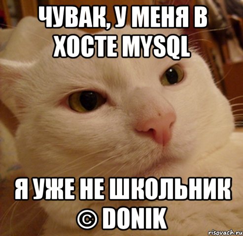 Чувак, у меня в хосте MySQL Я уже не школьник © Donik, Мем Дерзкий котэ
