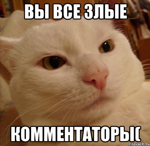 Вы все злые Комментаторы(, Мем Дерзкий котэ