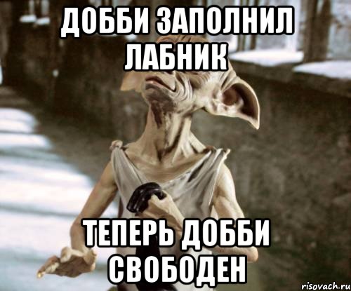 добби заполнил лабник теперь добби свободен, Мем добби
