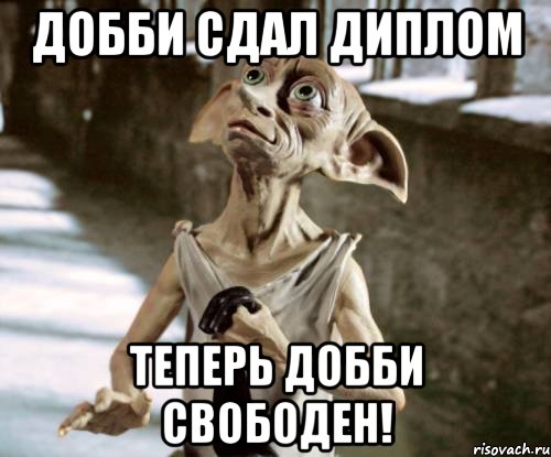 Добби сдал диплом Теперь Добби свободен!, Мем добби