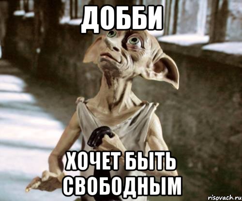 Добби Хочет быть свободным, Мем добби