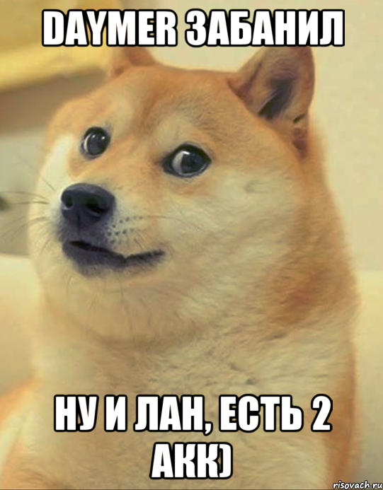 daymer забанил ну и лан, есть 2 акк), Мем doge woof