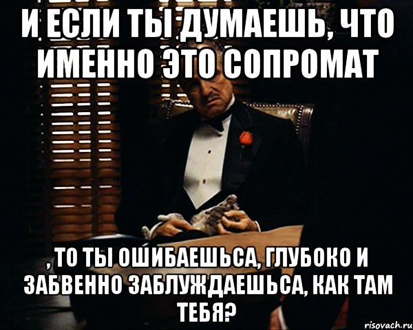 и если ты думаешь, что именно это сопромат , то ты ошибаешьса, глубоко и забвенно заблуждаешьса, как там тебя?, Мем Дон Вито Корлеоне