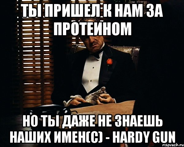 ты пришел к нам за протеином но ты даже не знаешь наших имен(с) - Hardy gun, Мем Дон Вито Корлеоне