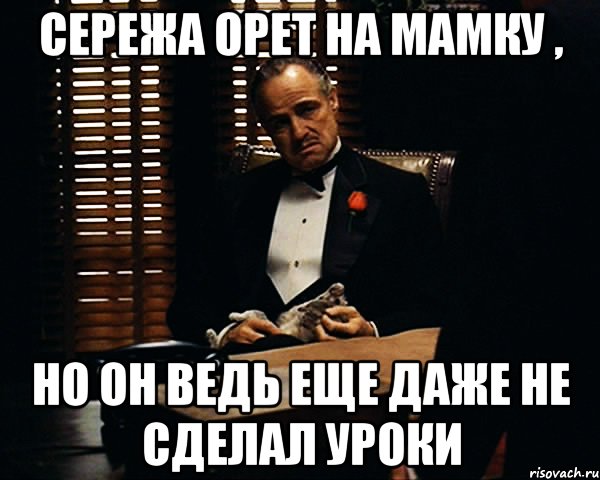 сережа орет на мамку , но он ведь еще даже не сделал уроки, Мем Дон Вито Корлеоне