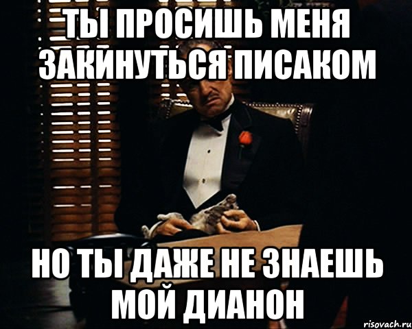 ТЫ ПРОСИШЬ МЕНЯ ЗАКИНУТЬСЯ ПИСАКОМ НО ТЫ ДАЖЕ НЕ ЗНАЕШЬ МОЙ ДИАНОН, Мем Дон Вито Корлеоне