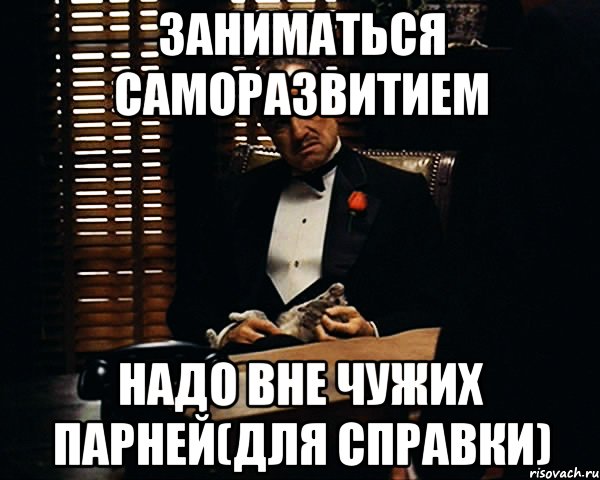 Заниматься саморазвитием надо вне чужих парней(для справки), Мем Дон Вито Корлеоне