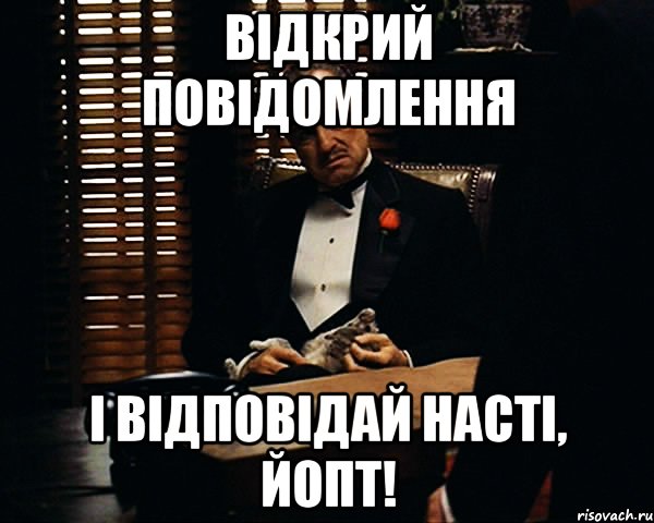 ВІДКРИЙ ПОВІДОМЛЕННЯ І ВІДПОВІДАЙ НАСТІ, ЙОПТ!, Мем Дон Вито Корлеоне