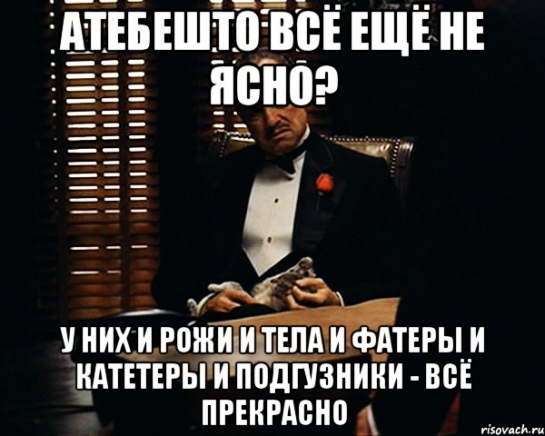 атебешто всё ещё не ясно? у них и рожи и тела и фатеры и катетеры и подгузники - всё прекрасно, Мем Дон Вито Корлеоне