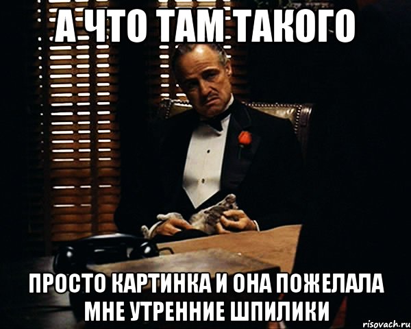 а что там такого просто картинка и она пожелала мне утренние шпилики, Мем Дон Вито Корлеоне