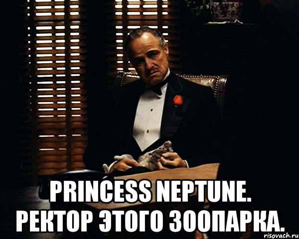  Princess Neptune. Ректор этого зоопарка., Мем Дон Вито Корлеоне