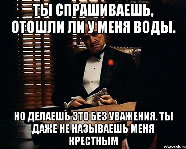 Ты спрашиваешь, отошли ли у меня воды. Но делаешь это без уважения. Ты даже не называешь меня крестным, Мем Дон Вито Корлеоне