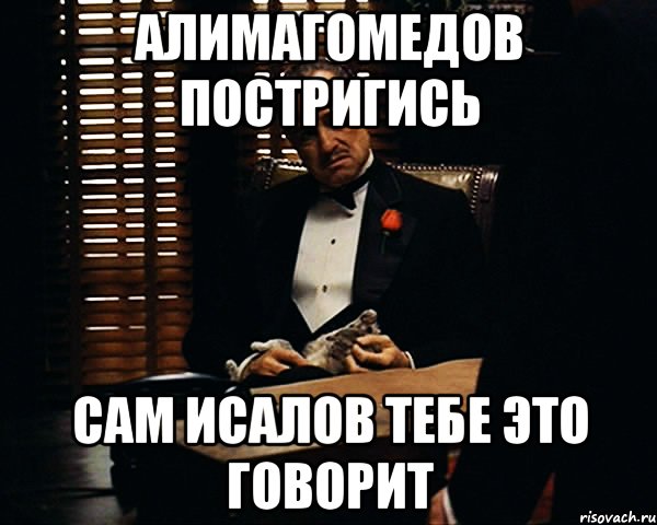 Алимагомедов постригись Сам Исалов тебе это говорит, Мем Дон Вито Корлеоне