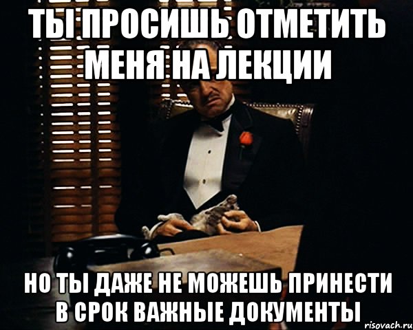 ты просишь отметить меня на лекции но ты даже не можешь принести в срок важные документы, Мем Дон Вито Корлеоне