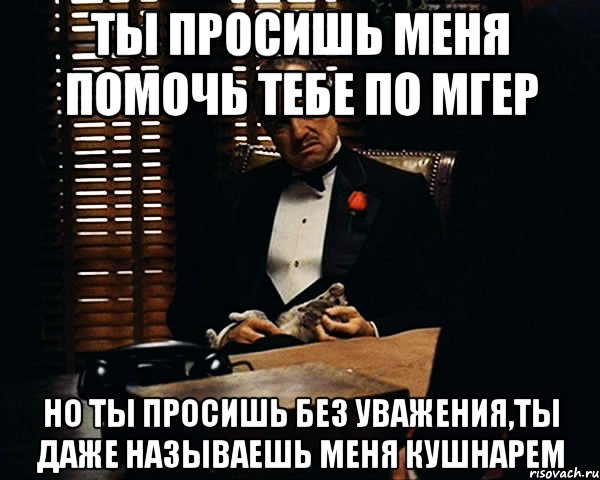 Ты просишь меня помочь тебе по МГЕР Но ты просишь без уважения,ты даже называешь меня Кушнарем, Мем Дон Вито Корлеоне