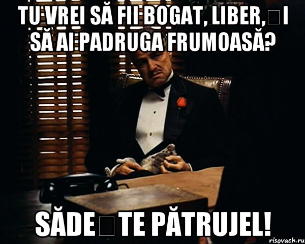 Tu vrei să fii bogat, liber,și să ai padruga frumoasă? Sădește pătrujel!, Мем Дон Вито Корлеоне