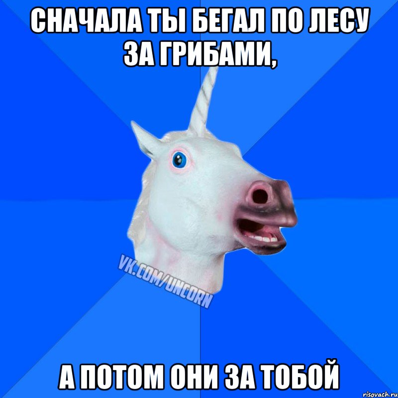 Сначала ты бегал по лесу за грибами, А потом они за тобой, Мем Единорог