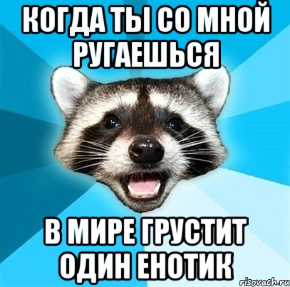 Когда ты со мной ругаешься В мире грустит один енотик, Мем Енот-Каламбурист