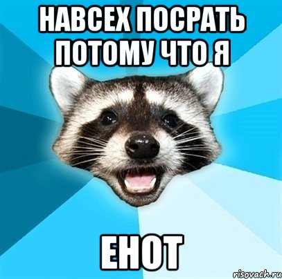 навсех посрать потому что я енот