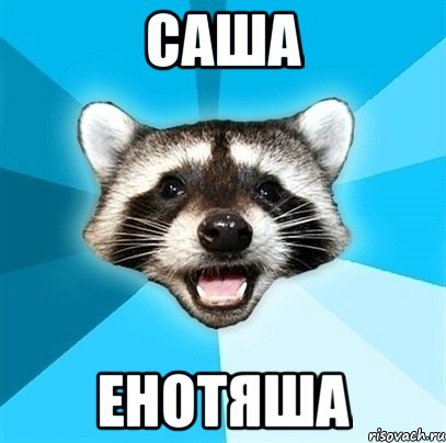 Саша Енотяша