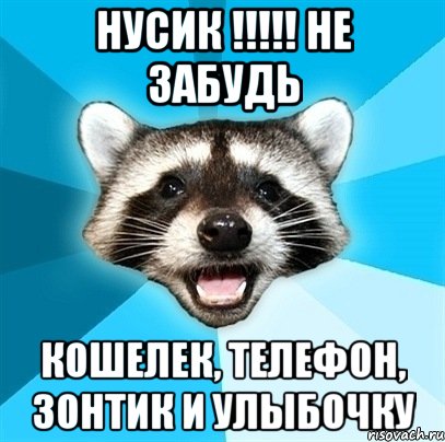 НУСИК !!!!! НЕ ЗАБУДЬ КОШЕЛЕК, ТЕЛЕФОН, ЗОНТИК И УЛЫБОЧКУ, Мем Енот-Каламбурист