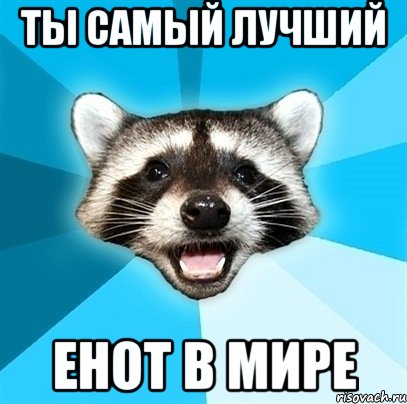 ты самый лучший енот в мире