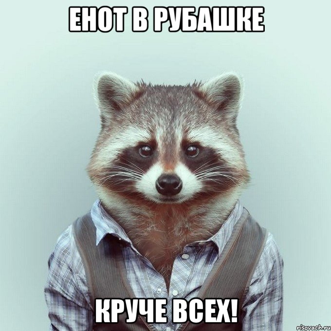 Енот в рубашке Круче всех!