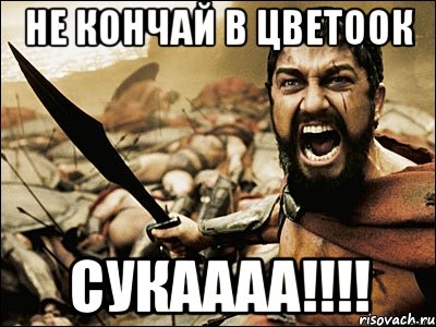 Не кончай в цветоок Сукаааа!!!!, Мем Это Спарта