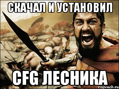 скачал и установил CFG лесника, Мем Это Спарта