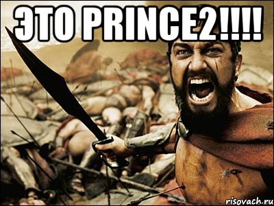 ЭТО PRINCE2!!!! , Мем Это Спарта