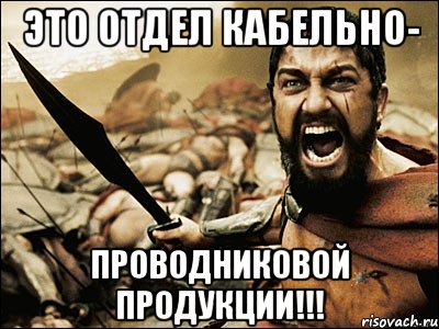 ЭТО ОТДЕЛ КАБЕЛЬНО- ПРОВОДНИКОВОЙ ПРОДУКЦИИ!!!, Мем Это Спарта