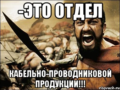 -ЭТО ОТДЕЛ КАБЕЛЬНО-ПРОВОДНИКОВОЙ ПРОДУКЦИИ!!!, Мем Это Спарта