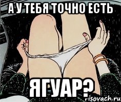 А у тебя точно есть ягуар?, Мем А ты точно