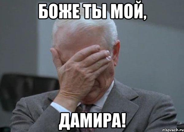 боже ты мой, Дамира!, Мем facepalm