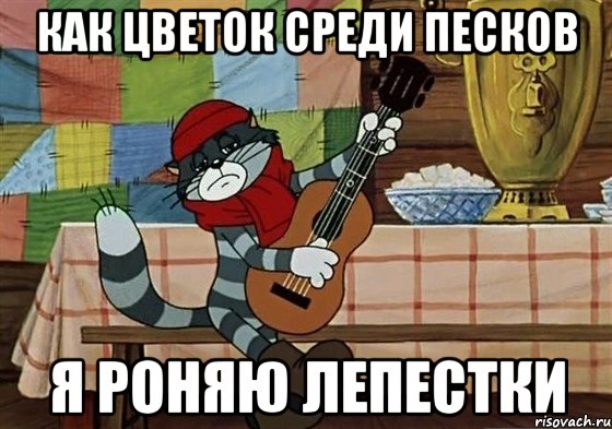 как цветок среди песков я роняю лепестки, Мем Грустный Матроскин с гитарой