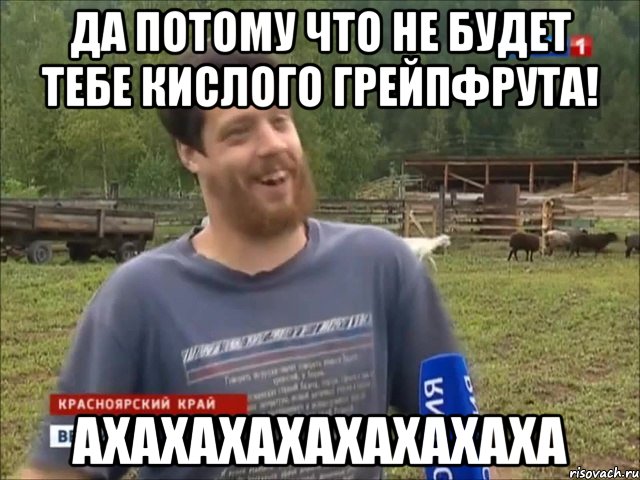 Да потому что не будет тебе кислого грейпфрута! АХАХАХАХАХАХАХАХА