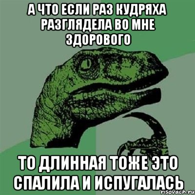 а что если раз кудряха разглядела во мне здорового то длинная тоже это спалила и испугалась, Мем Филосораптор