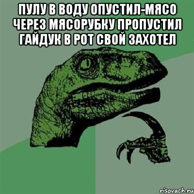 Пулу в воду опустил-мясо через мясорубку пропустил Гайдук в рот свой захотел , Мем Филосораптор