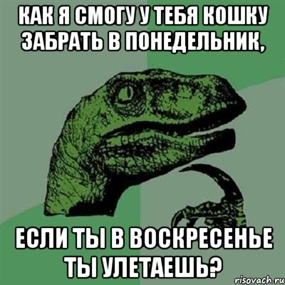 как я смогу у тебя кошку забрать в понедельник, если ты в воскресенье ты улетаешь?, Мем Филосораптор