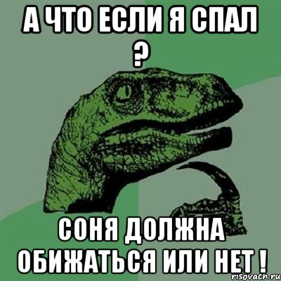 а что если я спал ? соня должна обижаться или нет !, Мем Филосораптор