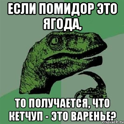 Если помидор это ягода, то получается, что кетчуп - это варенье?, Мем Филосораптор