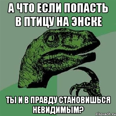 А что если попасть в птицу на энске Ты и в правду становишься невидимым?, Мем Филосораптор