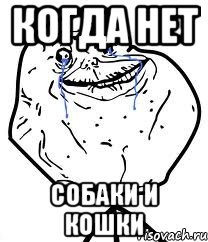 Когда нет собаки и кошки, Мем Forever Alone