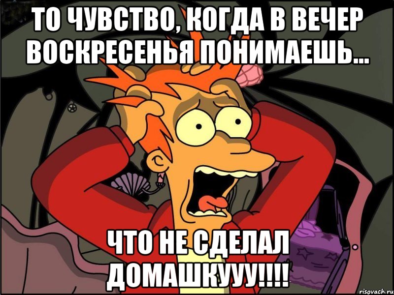 То чувство, когда в вечер воскресенья понимаешь... ЧТО НЕ СДЕЛАЛ ДОМАШКУУУ!!!!, Мем Фрай в панике