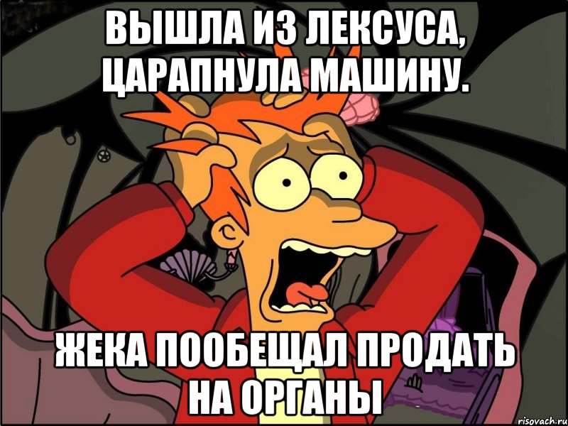 Вышла из лексуса, царапнула машину. Жека пообещал продать на органы, Мем Фрай в панике