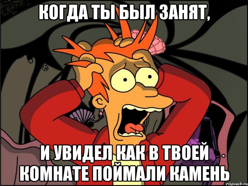 когда ты был занят, и увидел как в твоей комнате поймали камень, Мем Фрай в панике