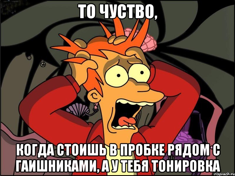 То чуство, когда стоишь в пробке рядом с гаишниками, а у тебя тонировка, Мем Фрай в панике