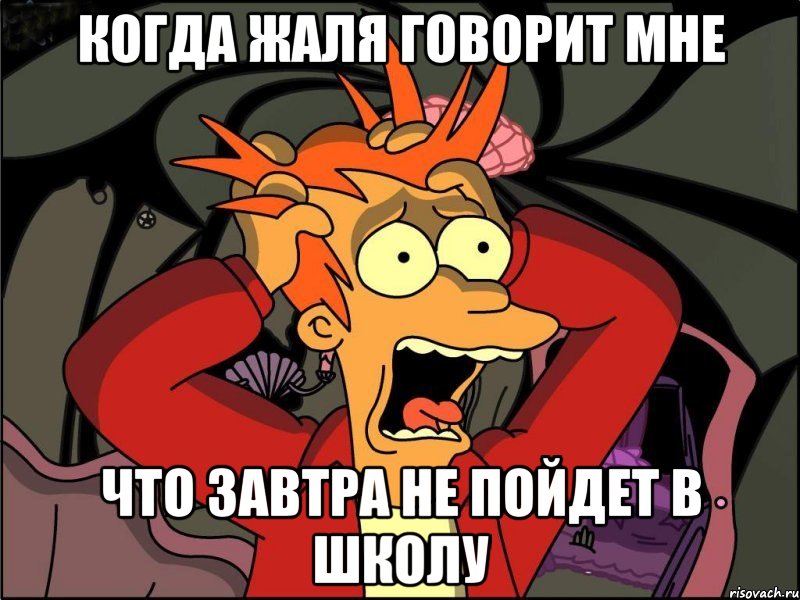 Когда Жаля Говорит Мне Что завтра не пойдет в школу, Мем Фрай в панике