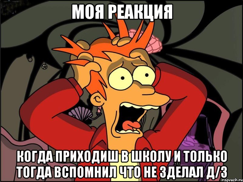 Моя реакция когда приходиш в школу и только тогда вспомнил что не зделал д/з, Мем Фрай в панике