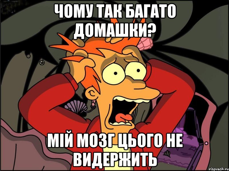 Чому так багато домашки? Мій мозг цього не видержить, Мем Фрай в панике